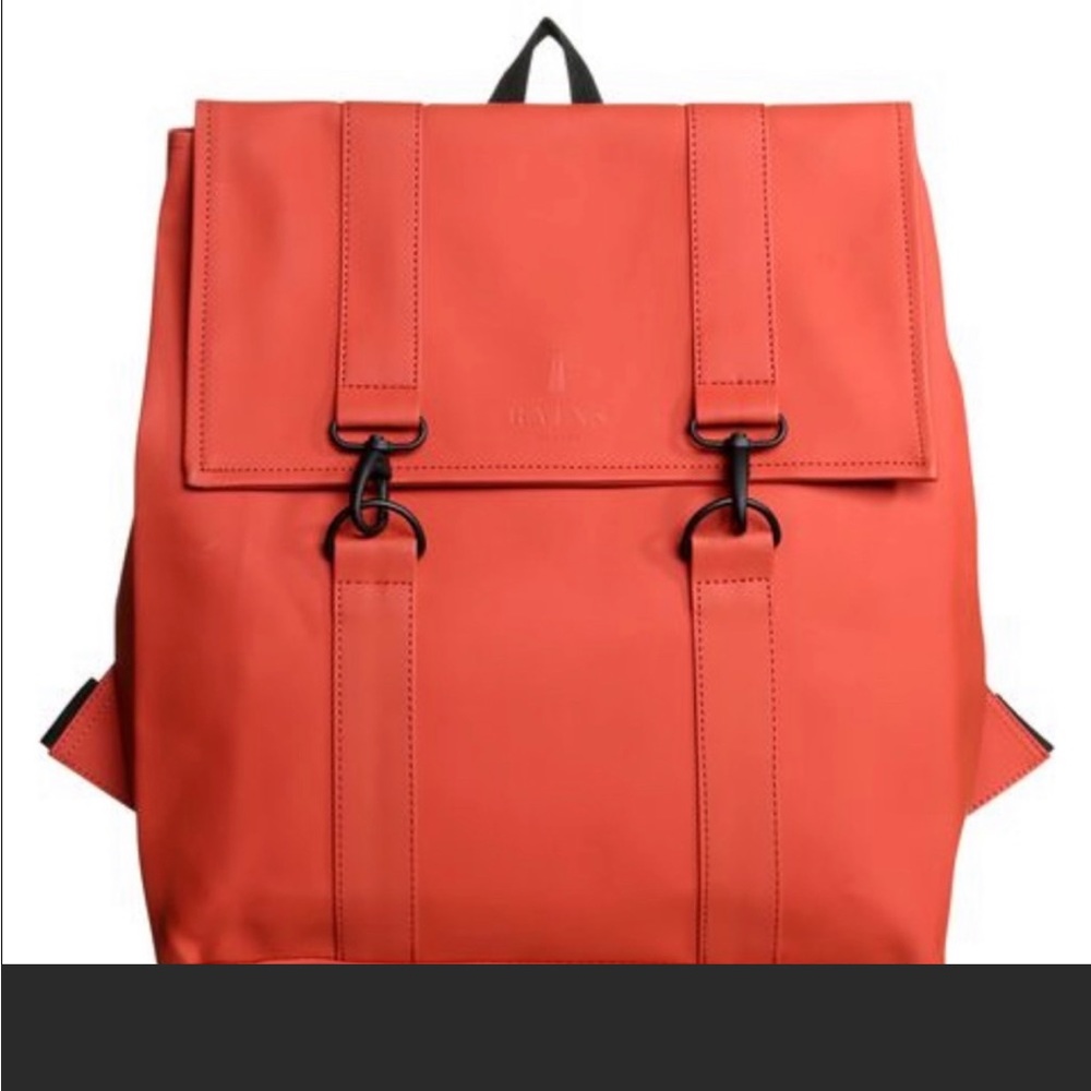 rains msn backpack